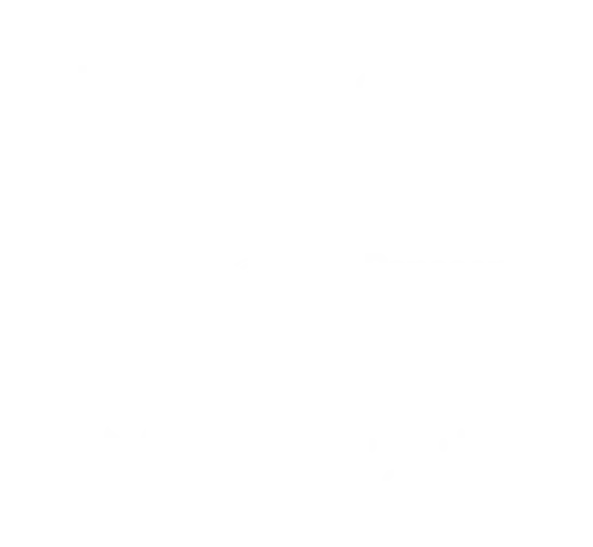 グローバルでの導入企業200社以上